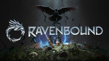 Test Ravenbound 