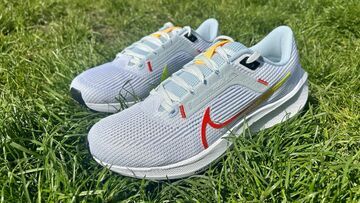 Nike Pegasus 40 Review