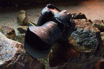 Nikon D500 Review