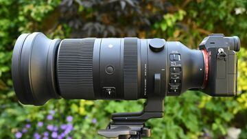 Sigma 60-600mm reviewed by Digital Camera World
