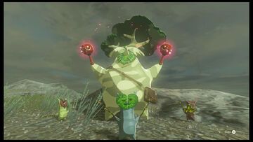 The Legend of Zelda Tears of the Kingdom test par Phenixx Gaming