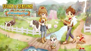 Test Story of Seasons A Wonderful Life