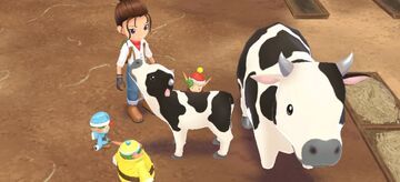 Story of Seasons A Wonderful Life test par 4players