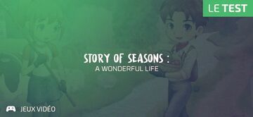 Story of Seasons A Wonderful Life test par Geeks By Girls