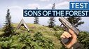 Test Sons of the Forest