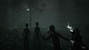 Test Greyhill Incident