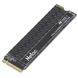 Netac NV7000-T Review