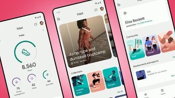 Test Fitbit Test Fitbit