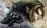 The Legend of Zelda Twilight Princess HD test par GamerGen
