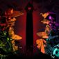 Wizard With A Gun review by GodIsAGeek Wizard With A Gun reviewed by GodIsAGeek