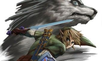 The Legend of Zelda Twilight Princess HD test par JeuxActu.com