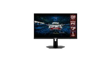 MSI G244F Review