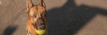 Arizona Sunshine 2 test par Games.ch Arizona Sunshine 2 test par Games.ch