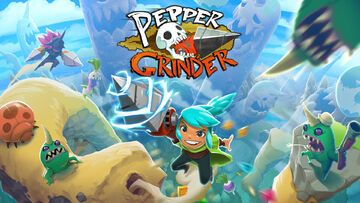 Pepper Grinder reviewed by Le Bta-Testeur