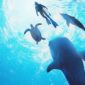 Endless Ocean Luminous testé par GodIsAGeek Endless Ocean Luminous testé par GodIsAGeek