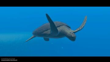 Endless Ocean Luminous testé par GameReactor Endless Ocean Luminous testé par GameReactor