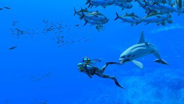 Endless Ocean Luminous testé par Shacknews Endless Ocean Luminous testé par Shacknews