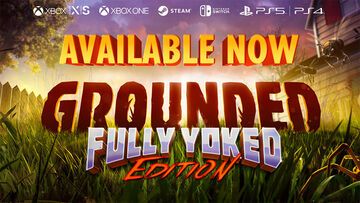 Grounded review by Pizza Fria Grounded reviewed by Pizza Fria