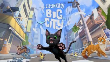 Test Little Kitty, Big City 