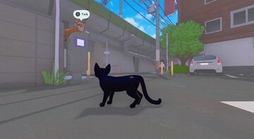 Little Kitty, Big City test par Gaming Trend