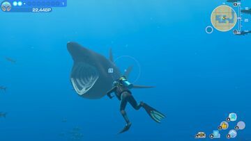 Endless Ocean Luminous testé par VideoChums Endless Ocean Luminous testé par VideoChums