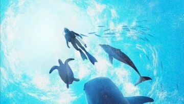Endless Ocean Luminous testé par GameScore.it Endless Ocean Luminous testé par GameScore.it