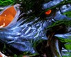 Monster Hunter 3 : Ultimate test par GameKult.com