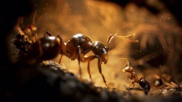 Empire of the Ants testé par Multiplayer.it Empire of the Ants testé par Multiplayer.it