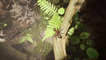 Empire of the Ants testé par TheXboxHub Empire of the Ants testé par TheXboxHub
