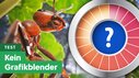 Empire of the Ants testé par GameStar Empire of the Ants testé par GameStar