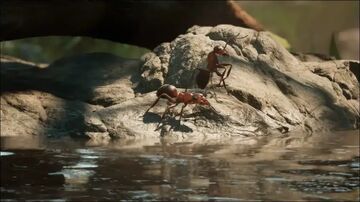 Empire of the Ants testé par VideogiochItalia Empire of the Ants testé par VideogiochItalia