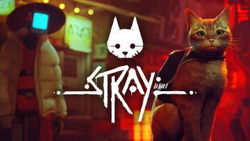 Stray test par Nintendo-Town