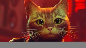 Stray test par Nintendo Life