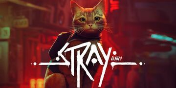 Stray test par Console Tribe
