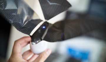 Bionic Bird Review: 3 Ratings, Pros and Cons Bionic Bird Review: 3 Ratings, Pros and Cons