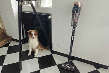 Rowenta X-Force Flex 14.80 Review
