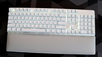 Anlisis Razer Pro Type