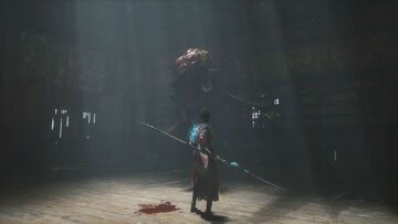 Wuchang Fallen Feathers test par Checkpoint Gaming