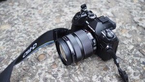 Olympus OM-D E-M1 Mark II test par Trusted Reviews