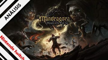 Mandragora Whispers of the Witch Tree  24 tests