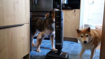 Dreame H15 Mix im Test: 2 Reviews und 1 Bewertungen  Durchschnitt: 3.5/5