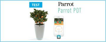 Test Parrot Pot