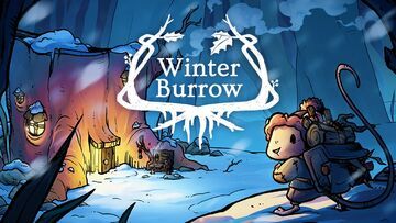 Winter Burrow   9 tests