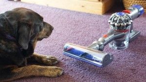 Anlisis Dyson V8 Animal