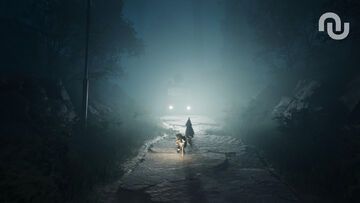 Reanimal test� par Numerama