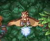 Test Owlboy 