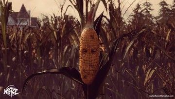Maize Review: 5 Ratings, Pros and Cons