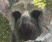 The Last Guardian test par GameKult.com The Last Guardian test par GameKult.com