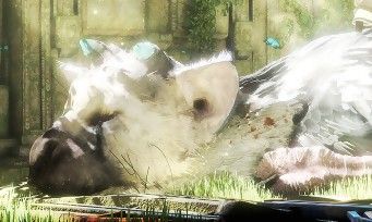 The Last Guardian test par JeuxActu.com The Last Guardian test par JeuxActu.com