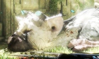 The Last Guardian test par JeuxActu.com